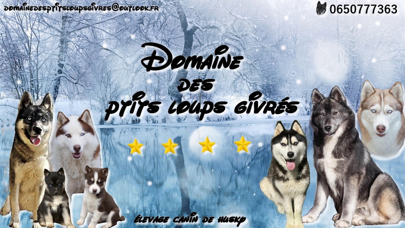 du domaine des ptits loups givres